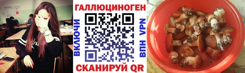 Псилоцибиновые грибы Psilocybine cubensis  где найти наркотики  МЕГА сайт  Перевоз 
